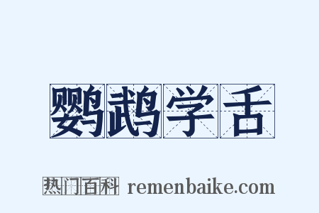 鹦鹉学舌是什么意思的图片